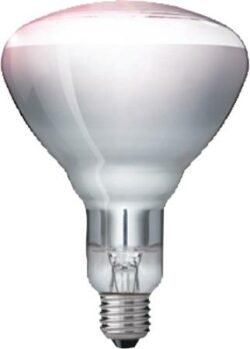 Bulb for heat lamp from Phillips, 250w, white color