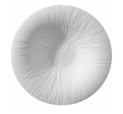 Fiord pastatallerken Ø29 cm