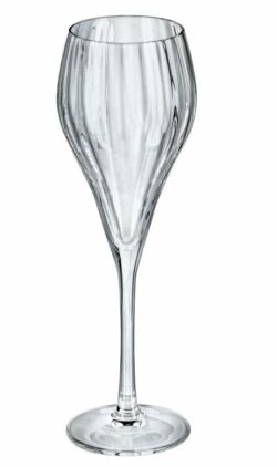 Champagneglas 16 cl, Symetrie (restsalg)